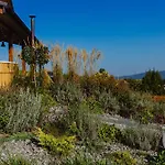 דירה Maciejowe Wzgorze Z Dwoma Niezaleznymi Apartamentami Ze - Sauna, Jacuzzi, Teznia, Izba Solna I Solankowa, Balia Na Wylacznosc Z Hydromasazami רבקה